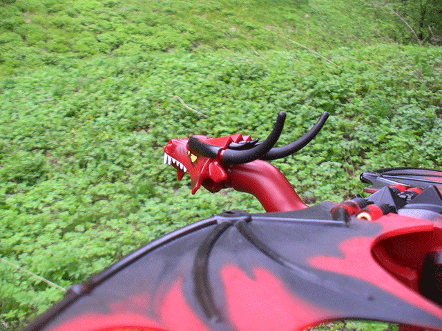 dragonflight.gif
