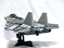 f-14-07.jpg