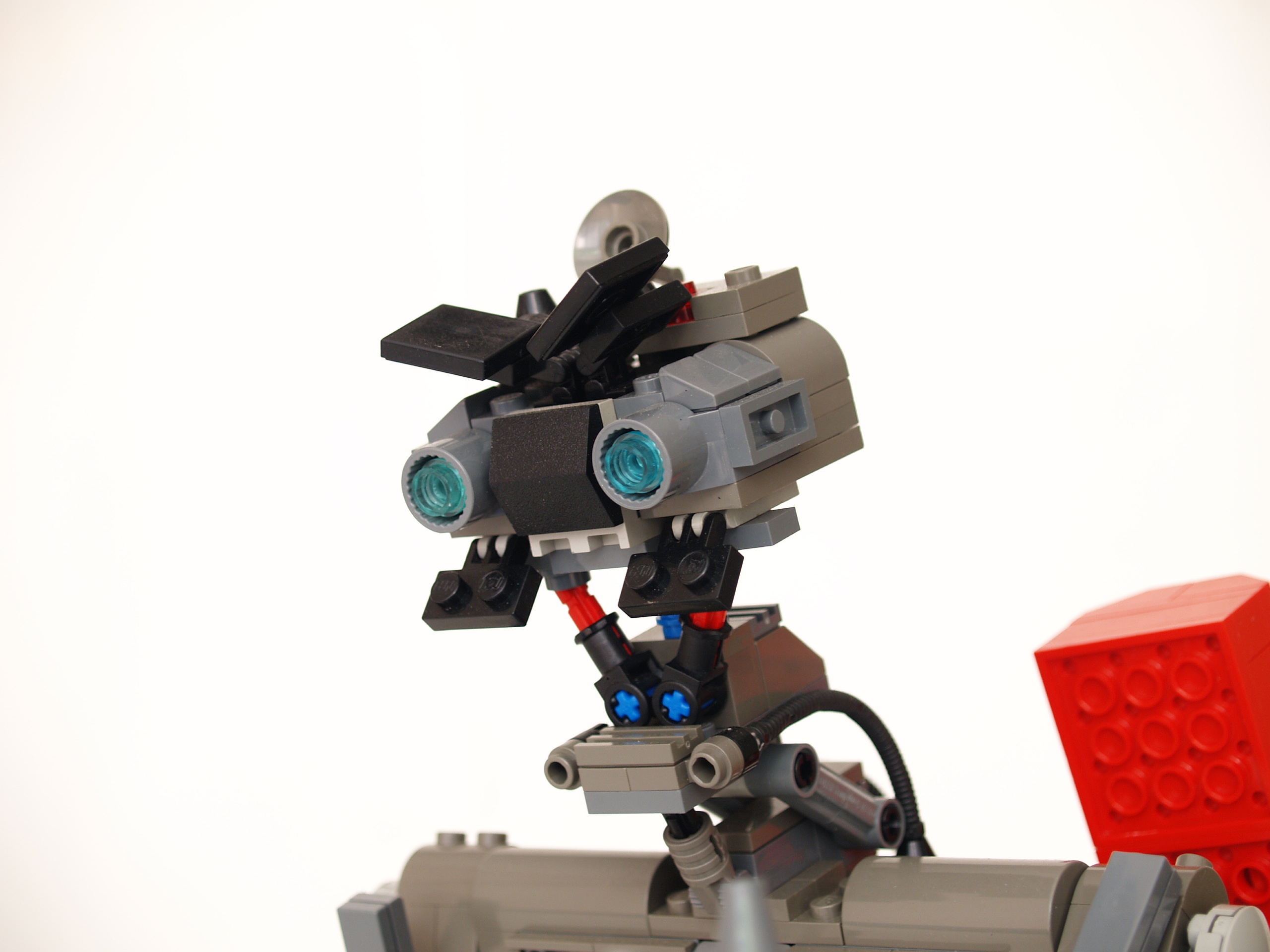 johnny-502.jpg