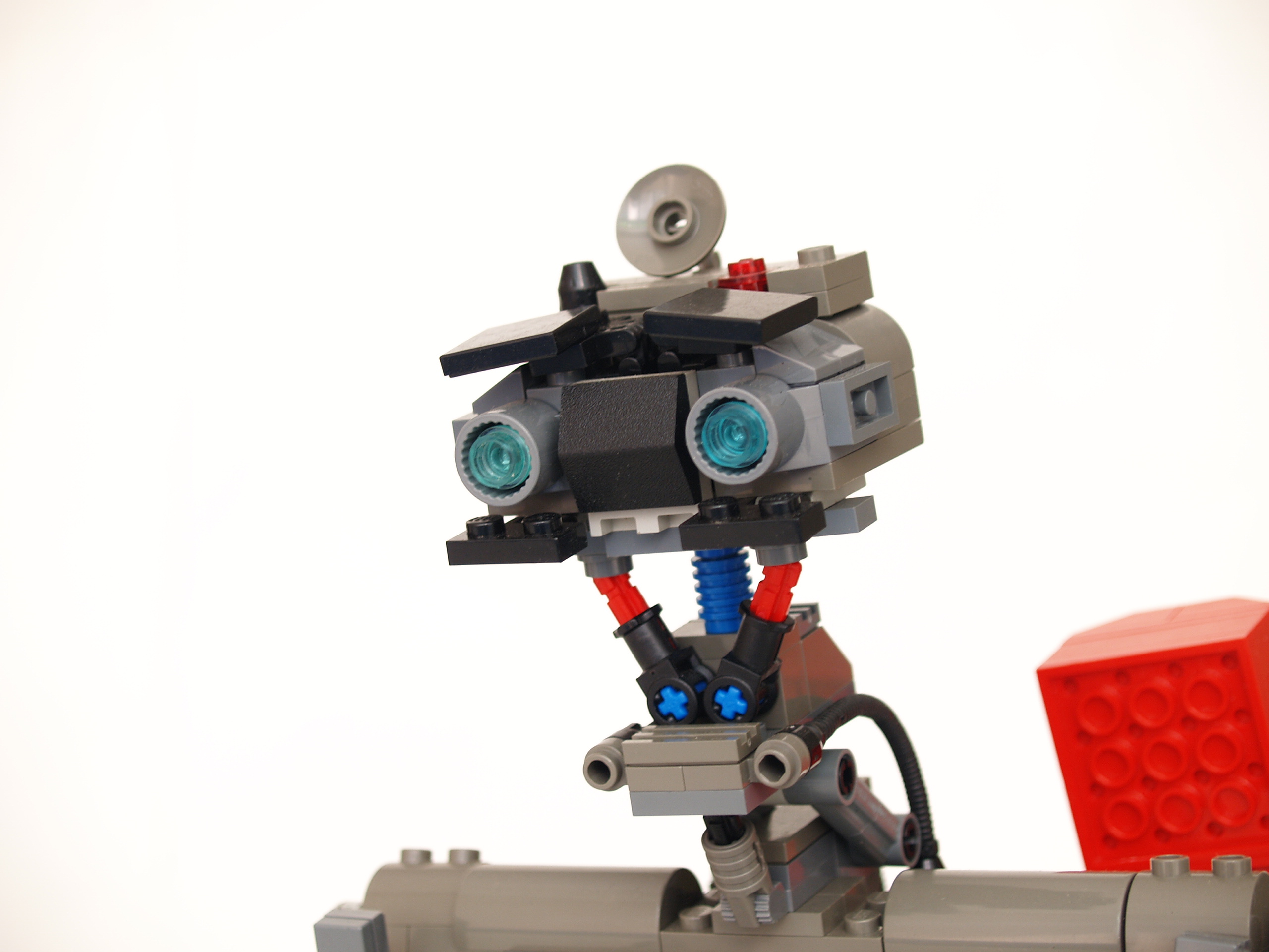 johnny-503.jpg