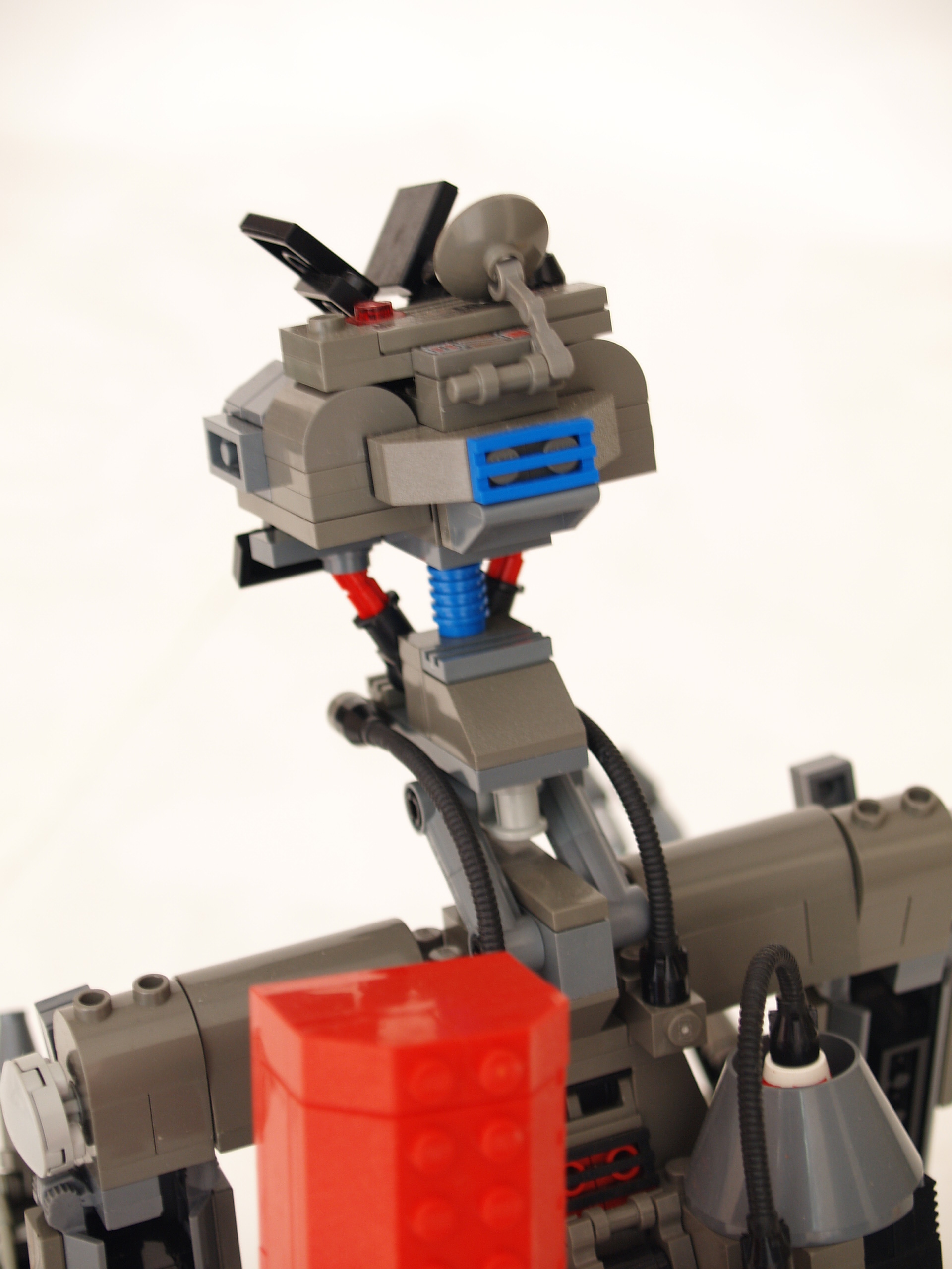 johnny-506.jpg