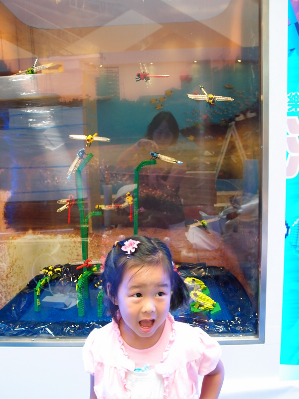 fish-show-25.jpg