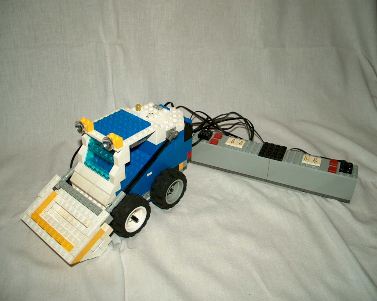 bobcat.jpg