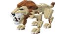 4884_lion.jpg
