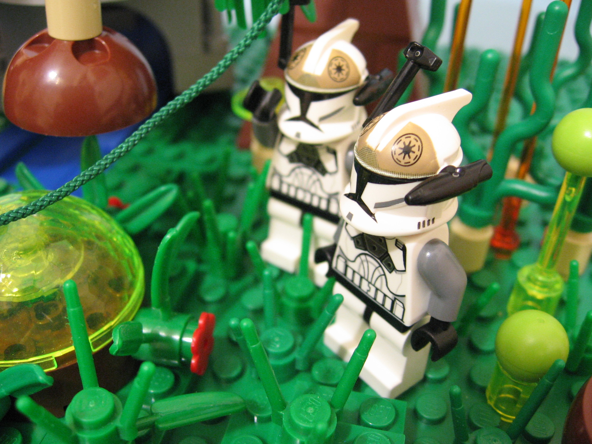 o14.jpg