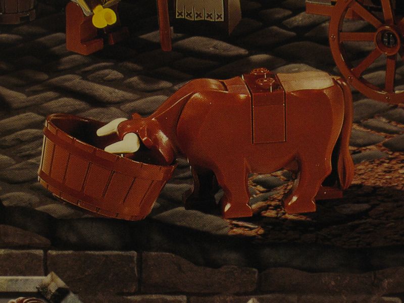 image021.jpg