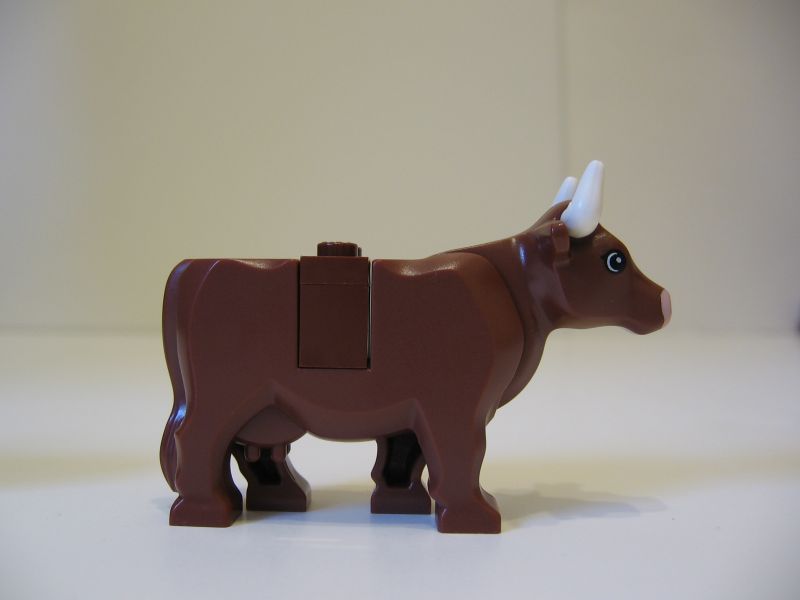 image012.jpg