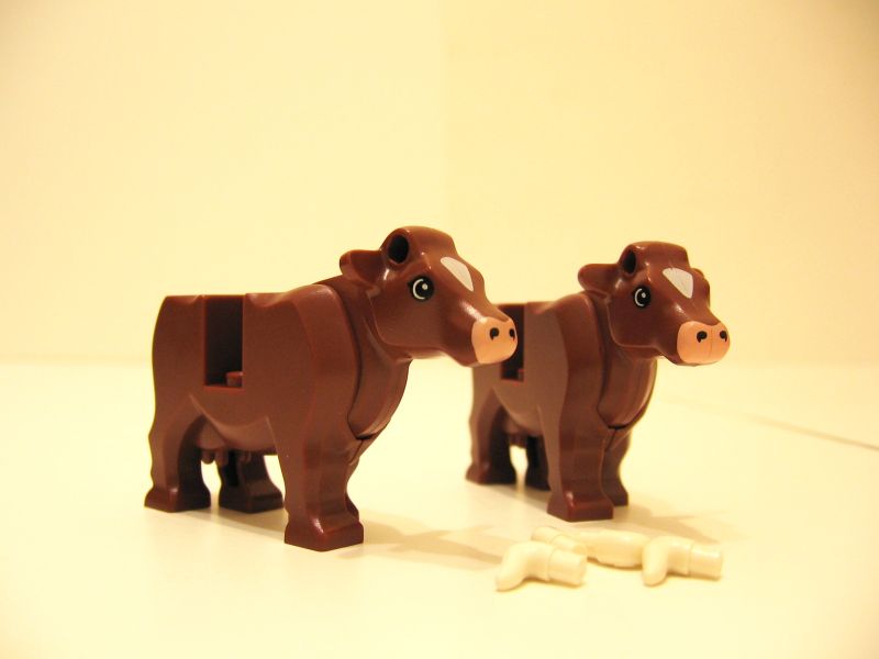 image036.jpg