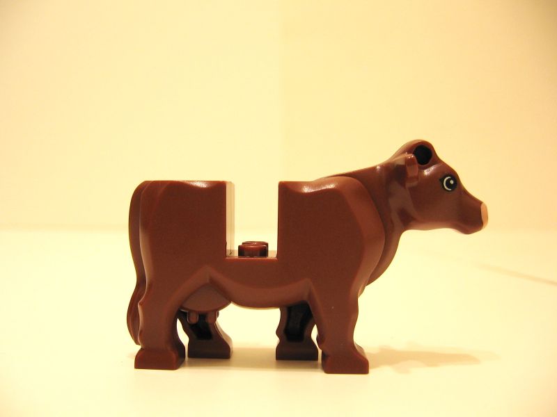 image037.jpg