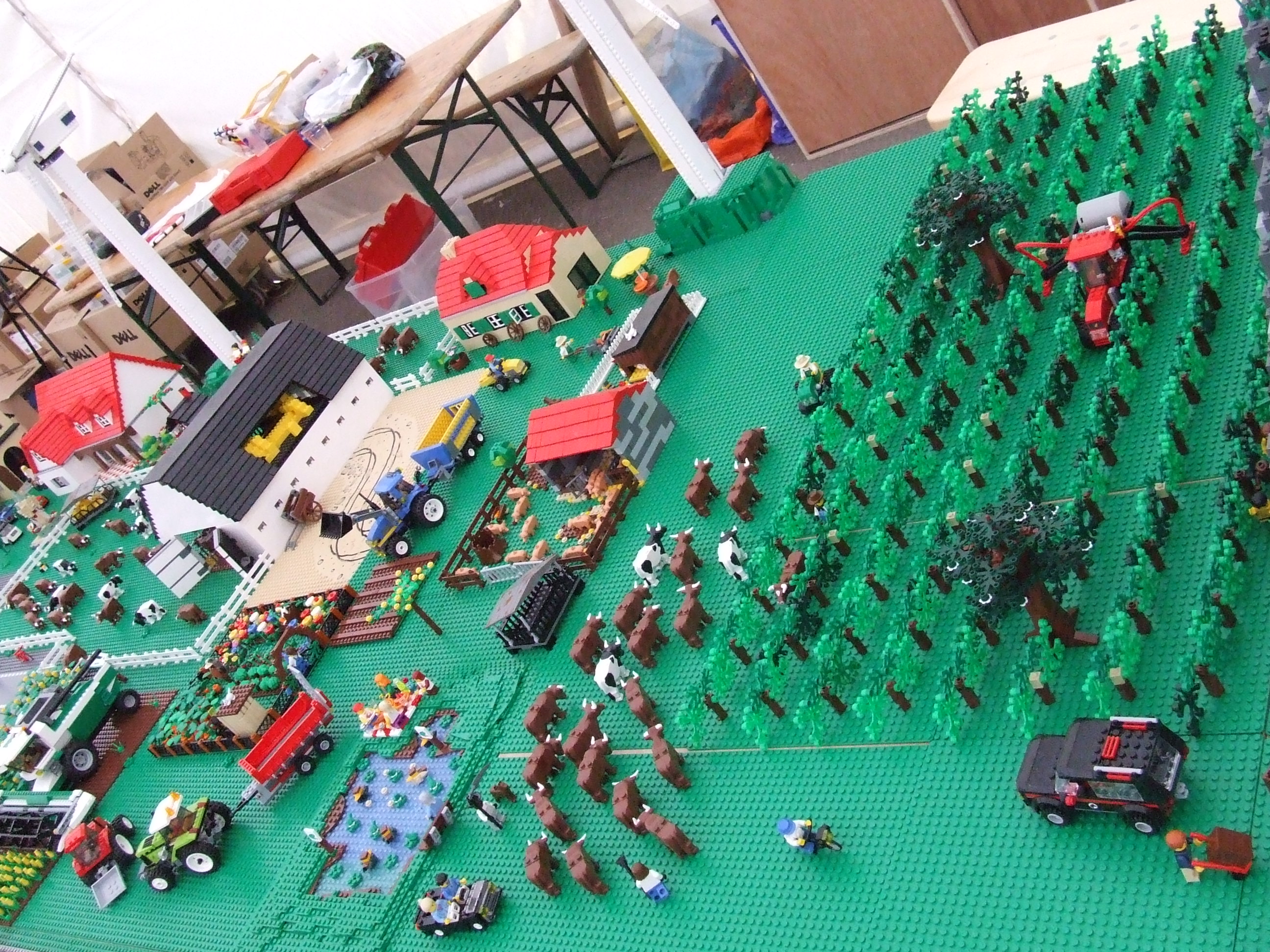 dscf5890.jpg