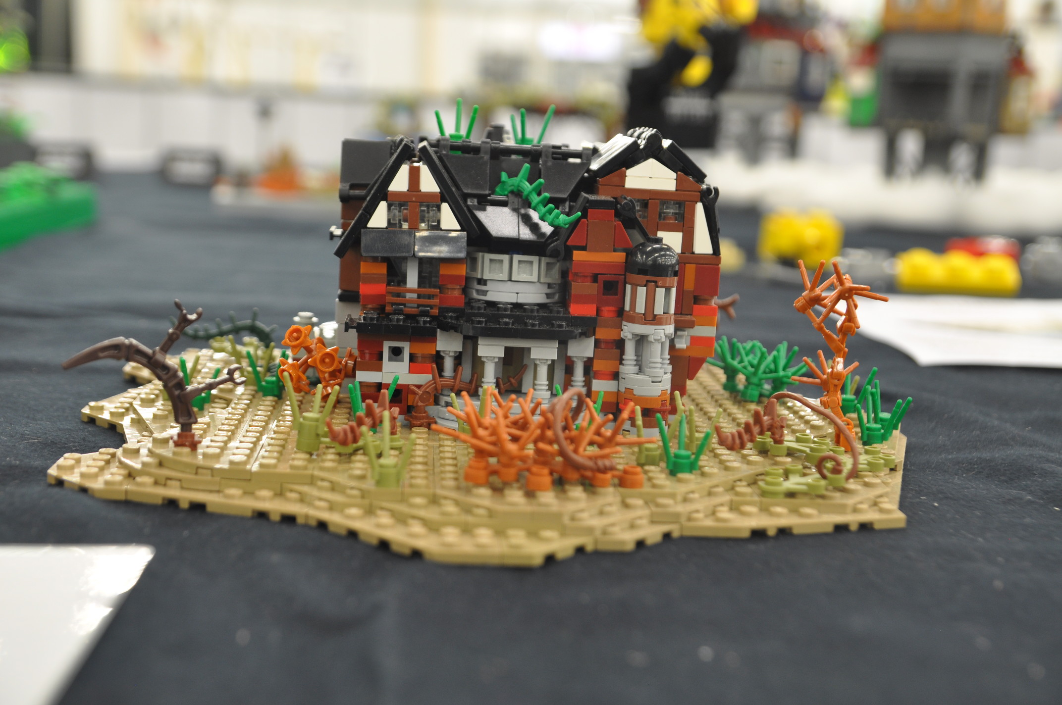 dsc_0102.jpg