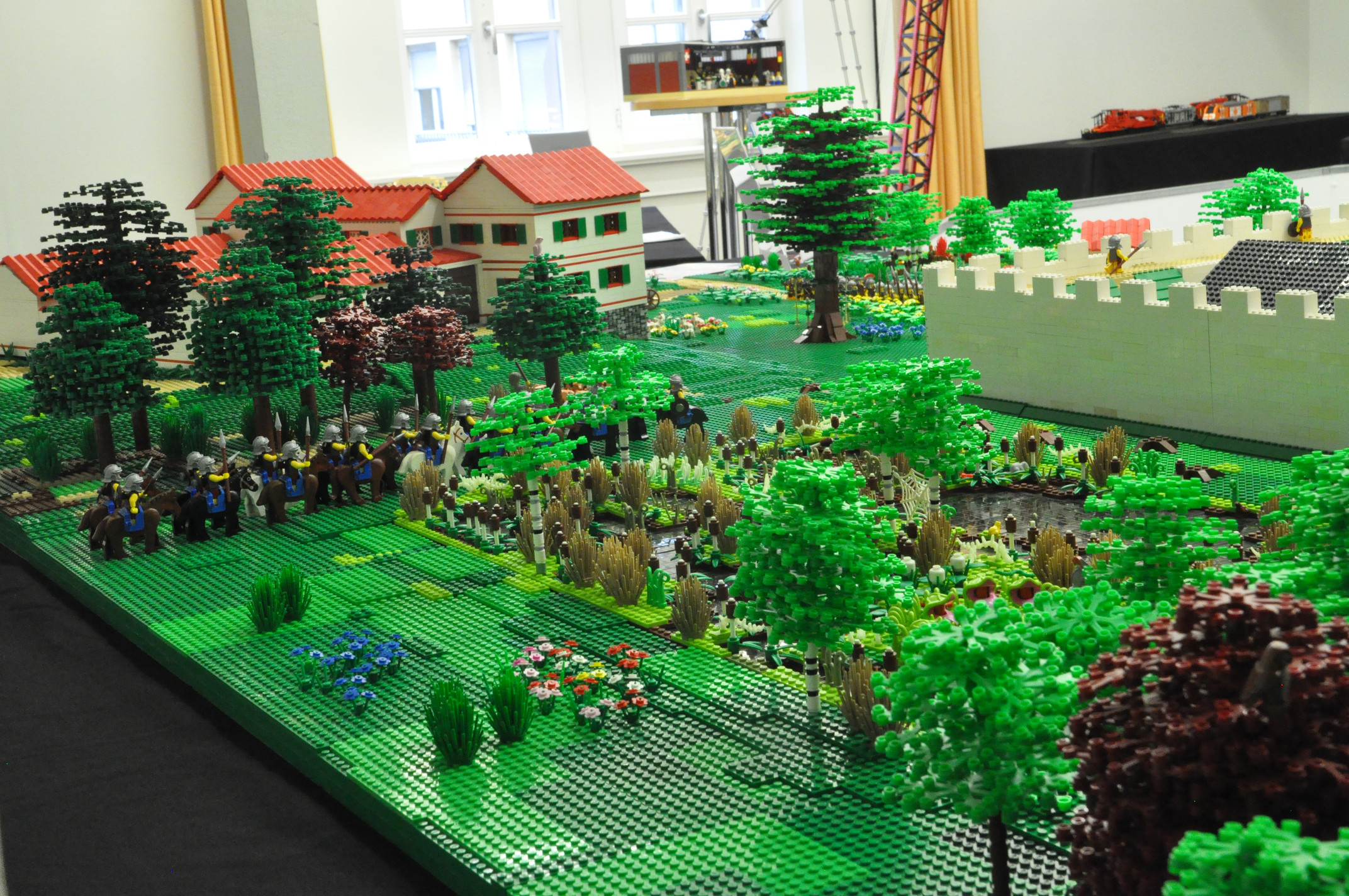 dsc_0202.jpg