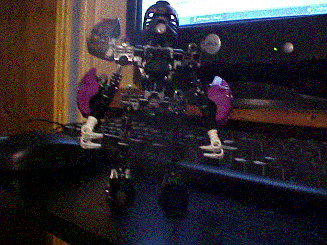 makuta.gif