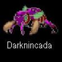nincada.jpg