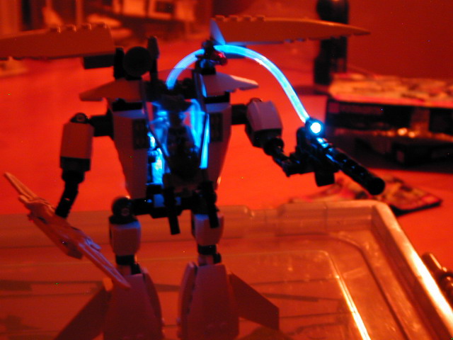 exo007700_1.jpg