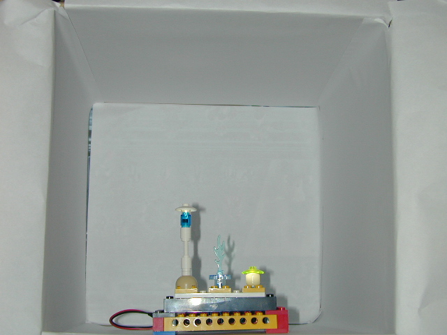 dscn2713.jpg