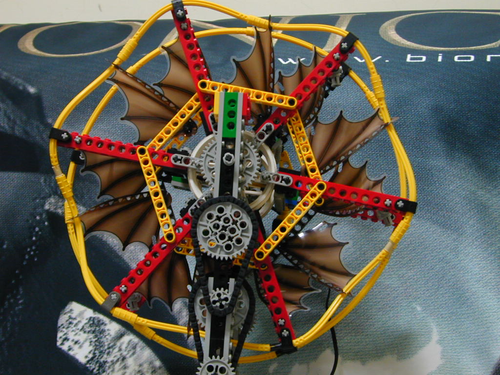 fan03.jpg