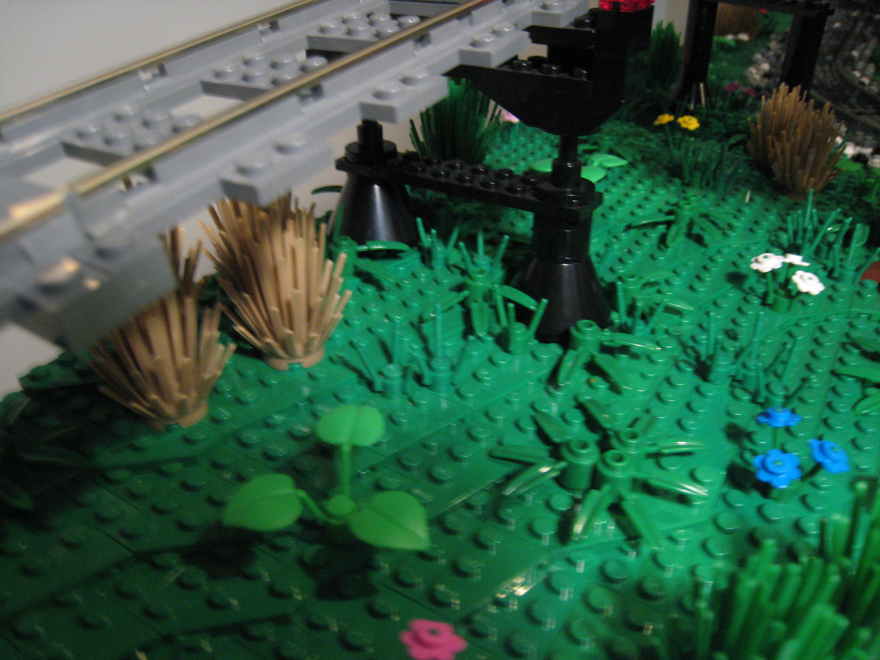 landscape_13.jpg