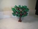 tree_1_02.jpg