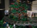 tree_1_03_display.jpg