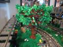 tree_4_01_display.jpg