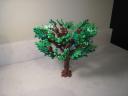 tree_4_04.jpg