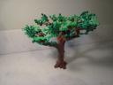 tree_5_03.jpg