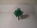 tree_6_03.jpg