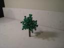 tree_6_04.jpg