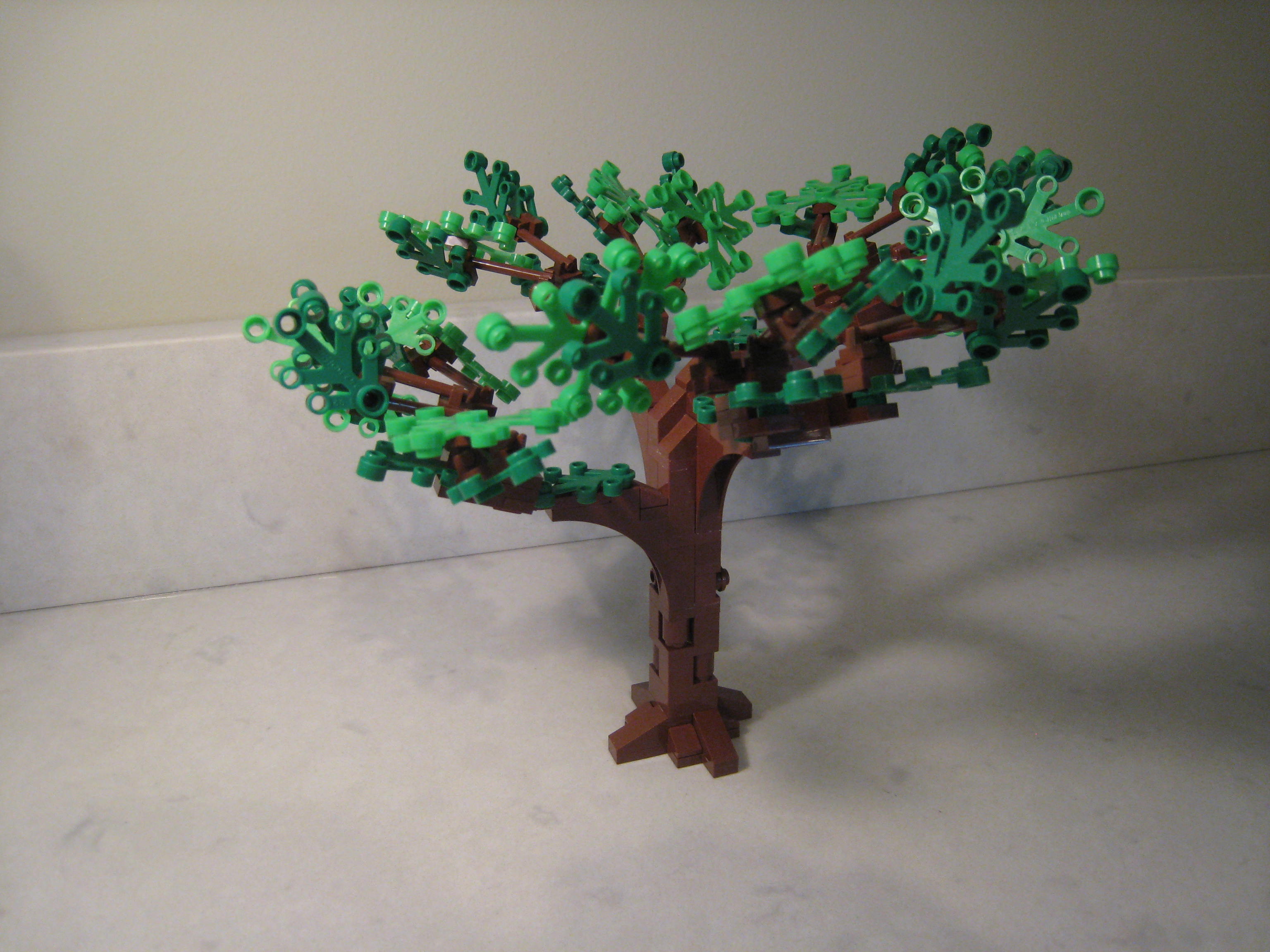 tree_5_03.jpg