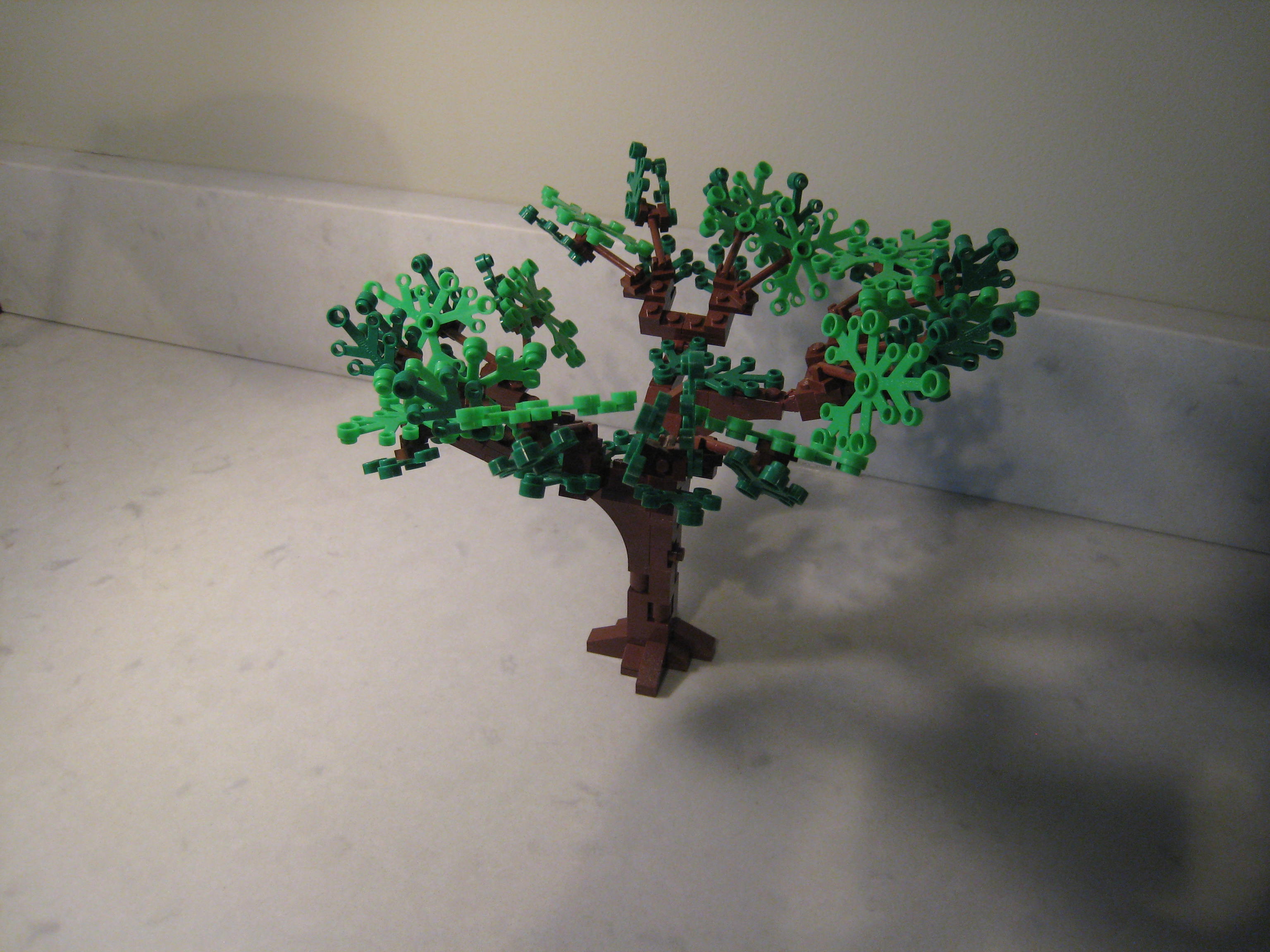 tree_5_04.jpg