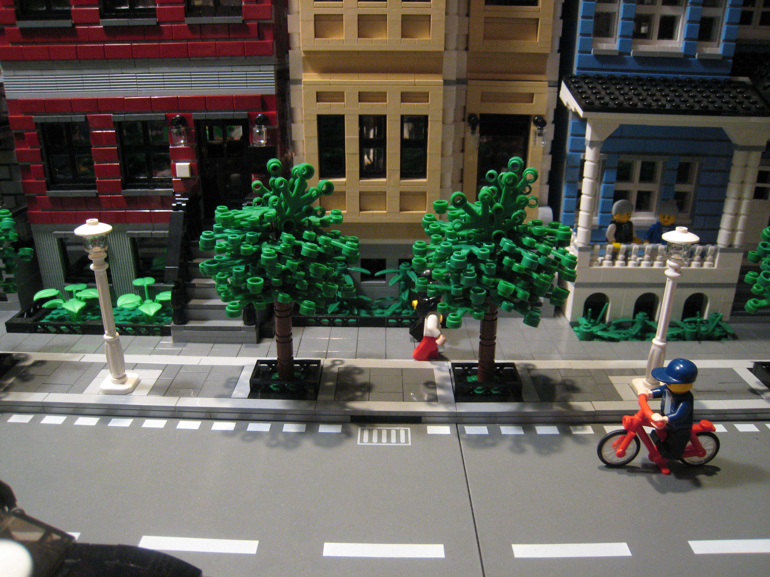tree_6_01_display.jpg
