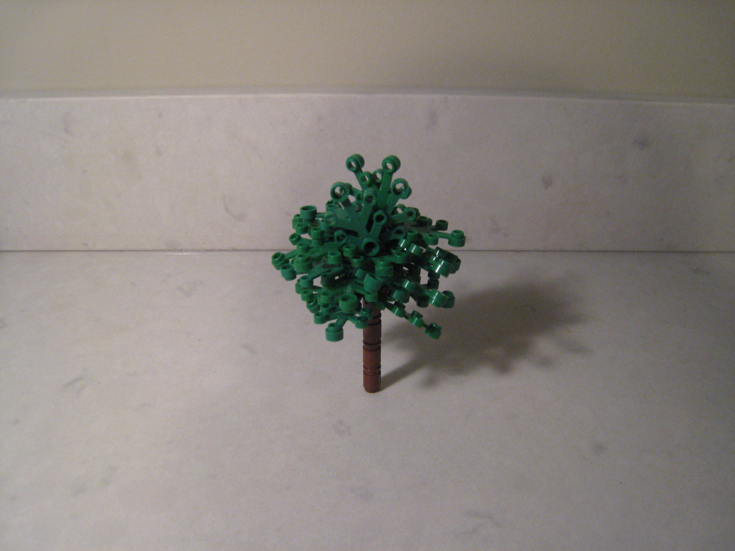 tree_6_03.jpg