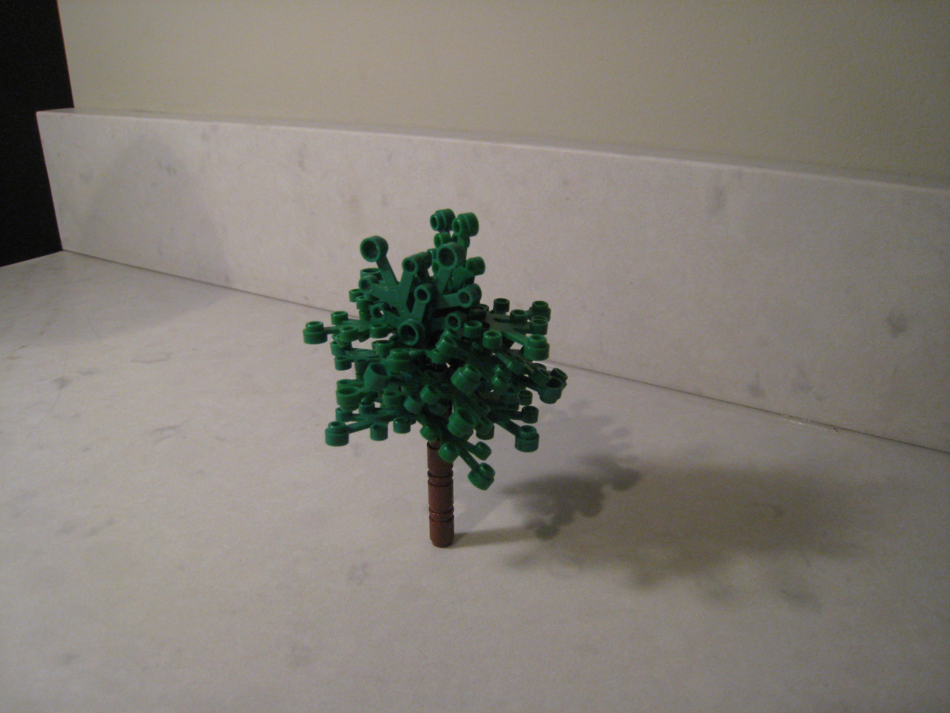 tree_6_04.jpg