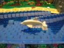 ocean_26.jpg