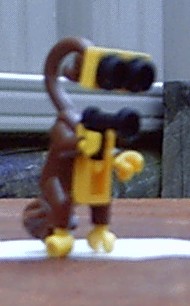 monkee09.jpg