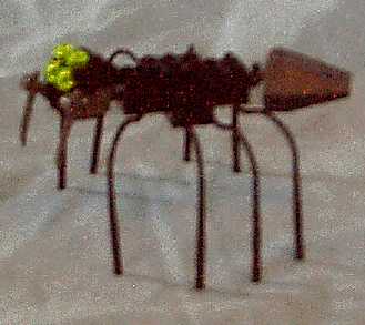 giantspider1.jpg