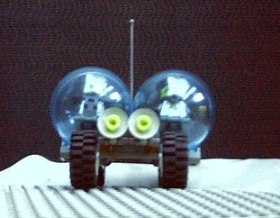 double2.jpg