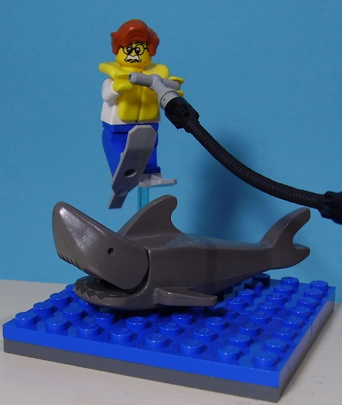 harryvigjumpstheshark1.jpg