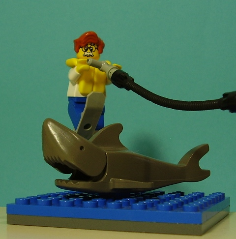 harryvigjumpstheshark2.jpg
