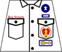 scoutdecal.jpg