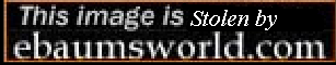 this_image_is_stolen_by_ebaum.bmp