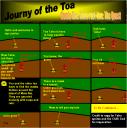 JournyoftheToa