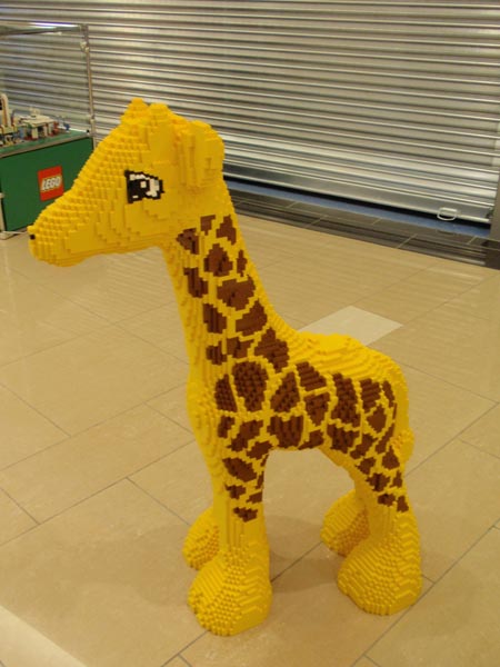 zirafa.jpg