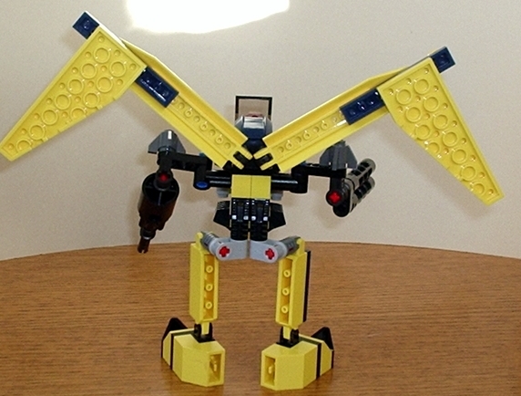 4waspbackview.jpg