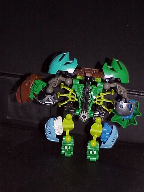 durhok_va_ultima_back.jpg