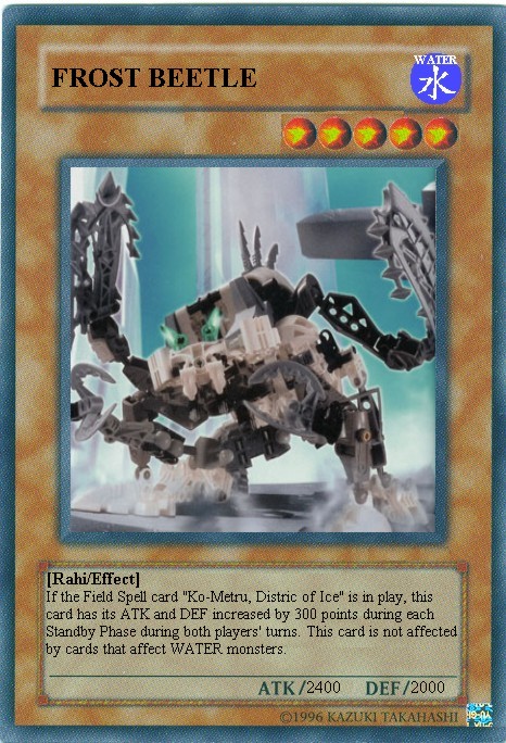 frost_beetle.jpg
