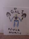 humans