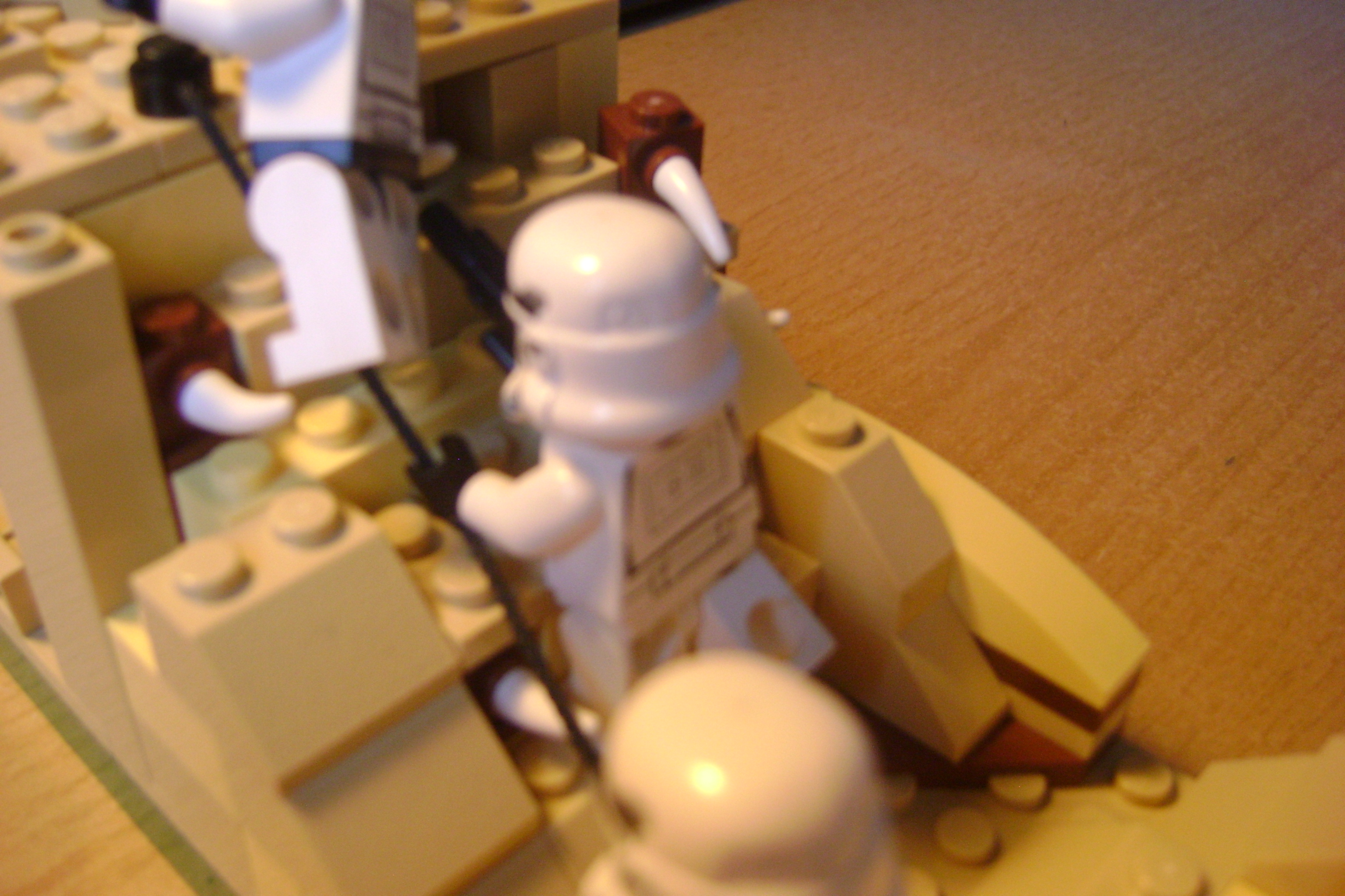 dsc01131.jpg