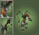 drakein_details_copy.png